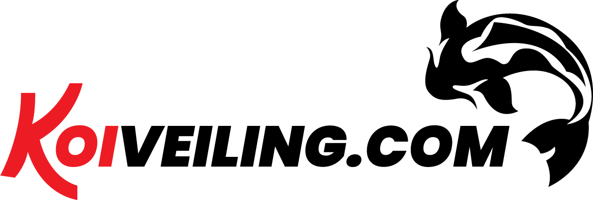 koiveiling.png
