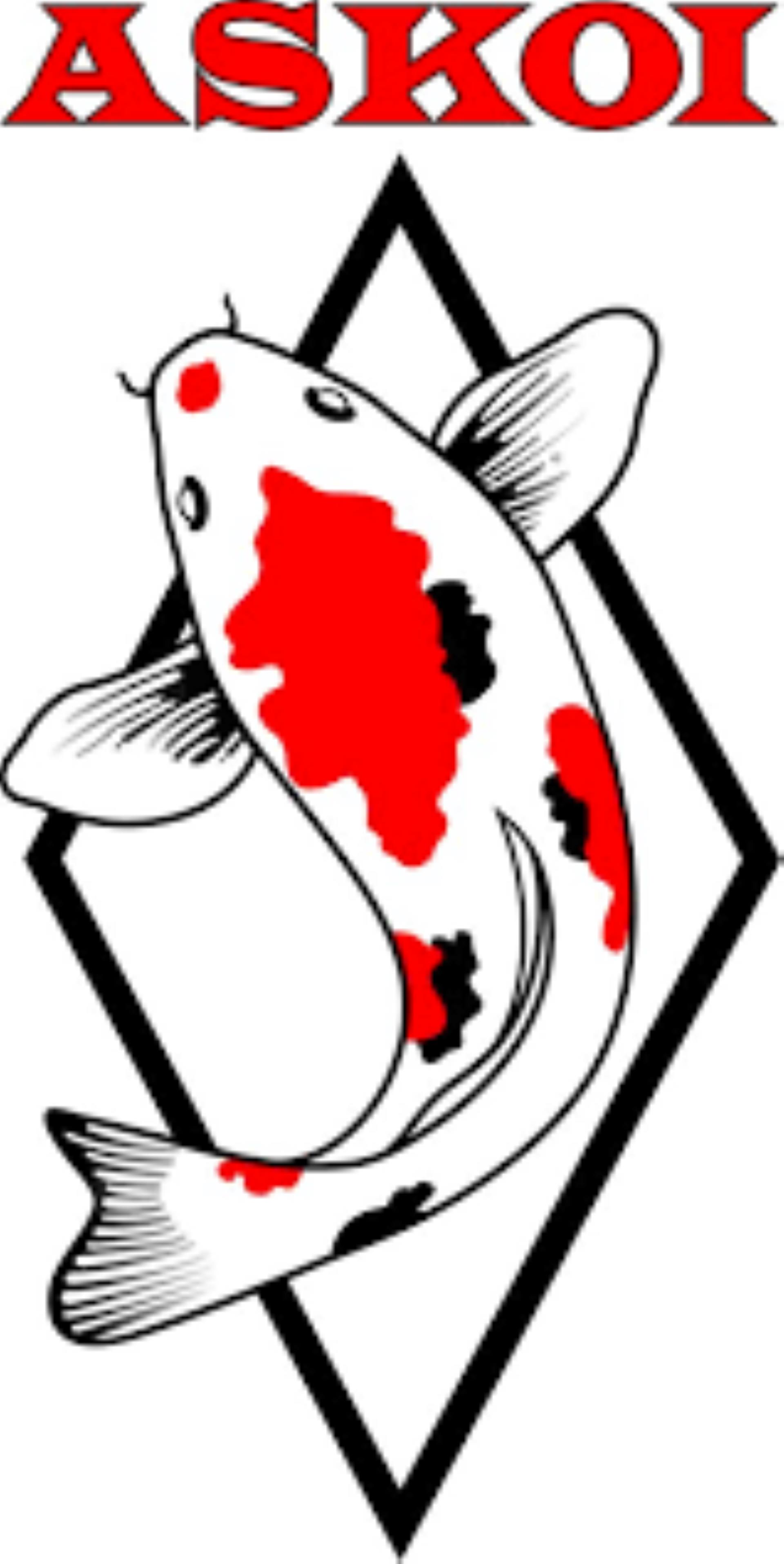 Logo Askoi