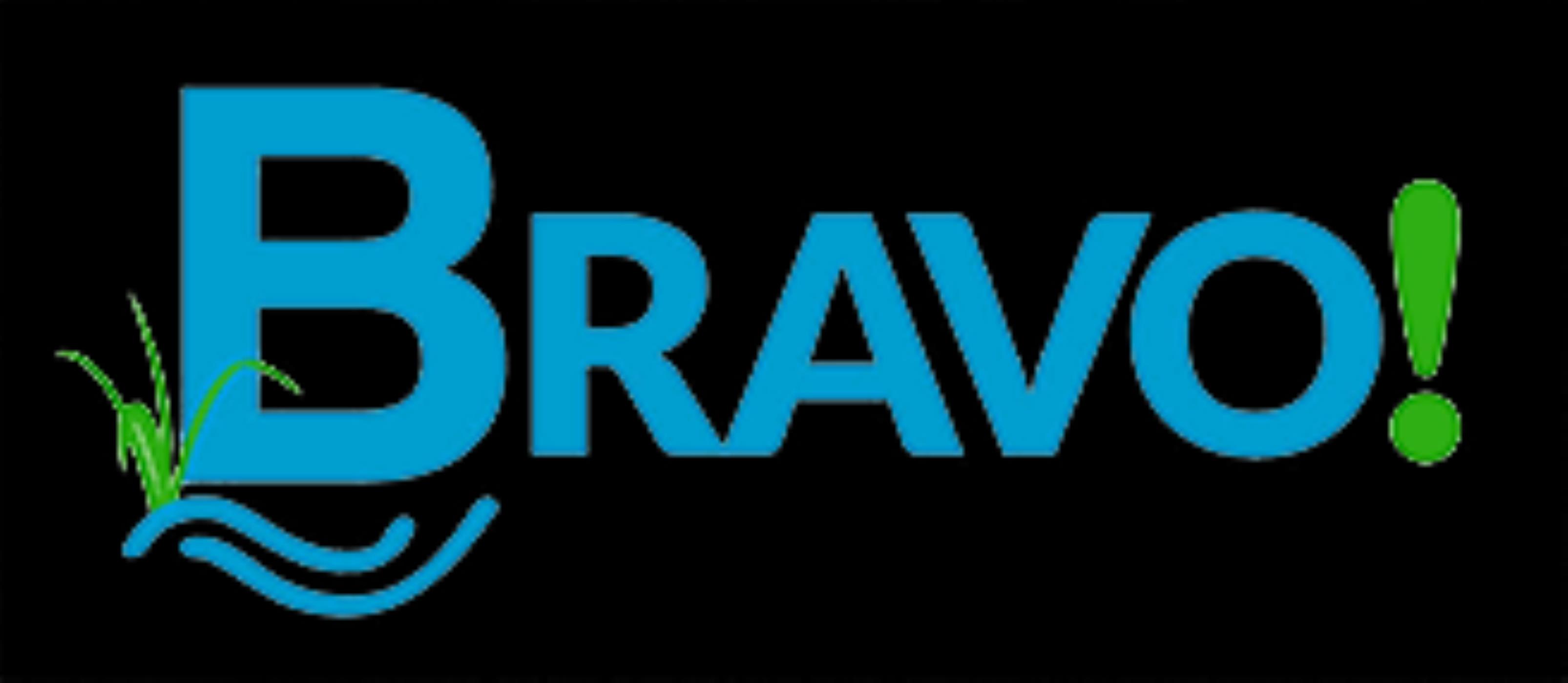 Logo Wijkvereniging Bravo